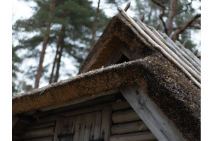 A Magical Day at the Estonian Open Air Museum