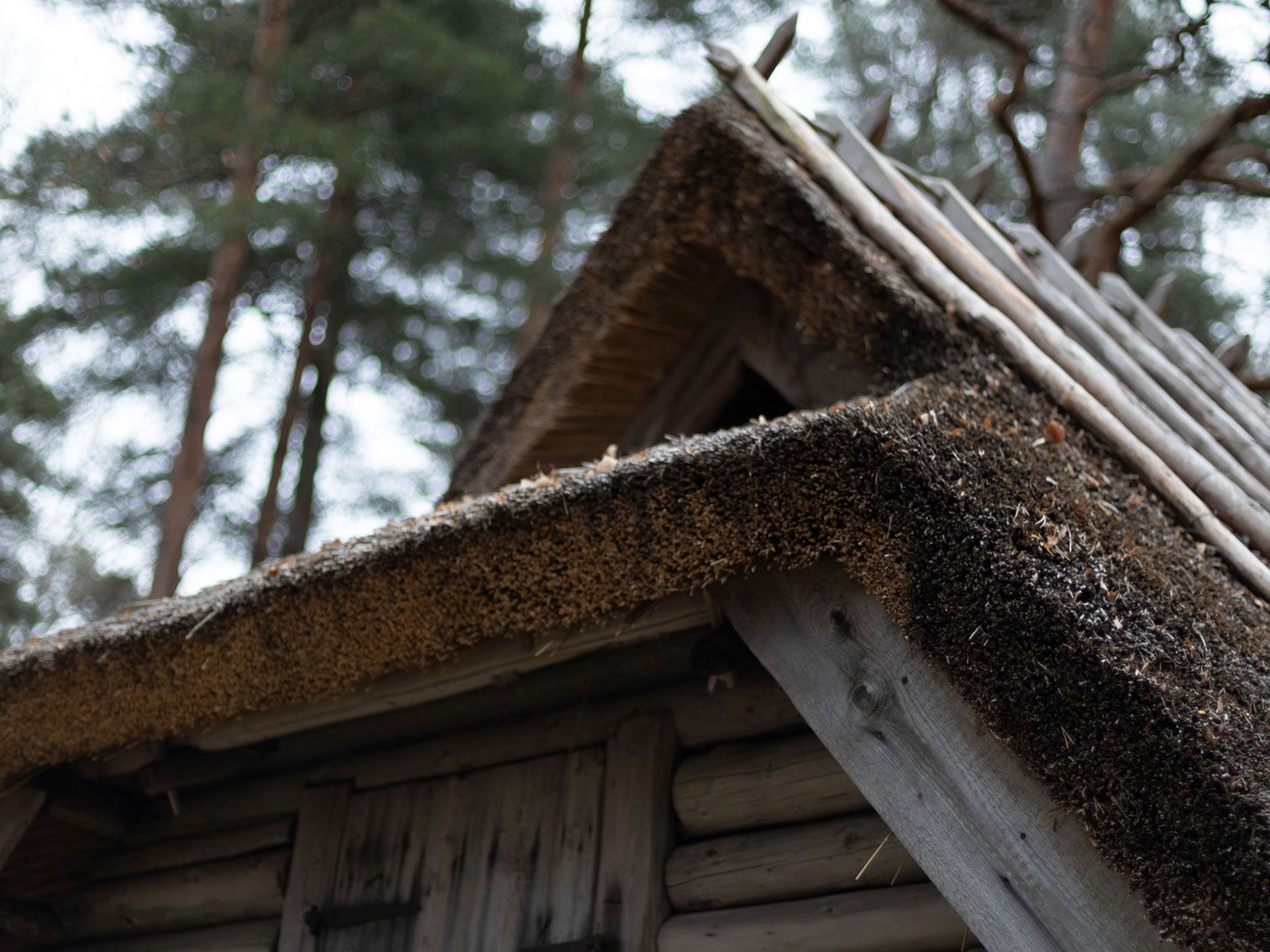 A Magical Day at the Estonian Open Air Museum